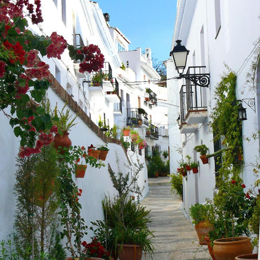 Nerja Paradise Rentals - Villa Cataleya Frigiliana Exteriör bild
